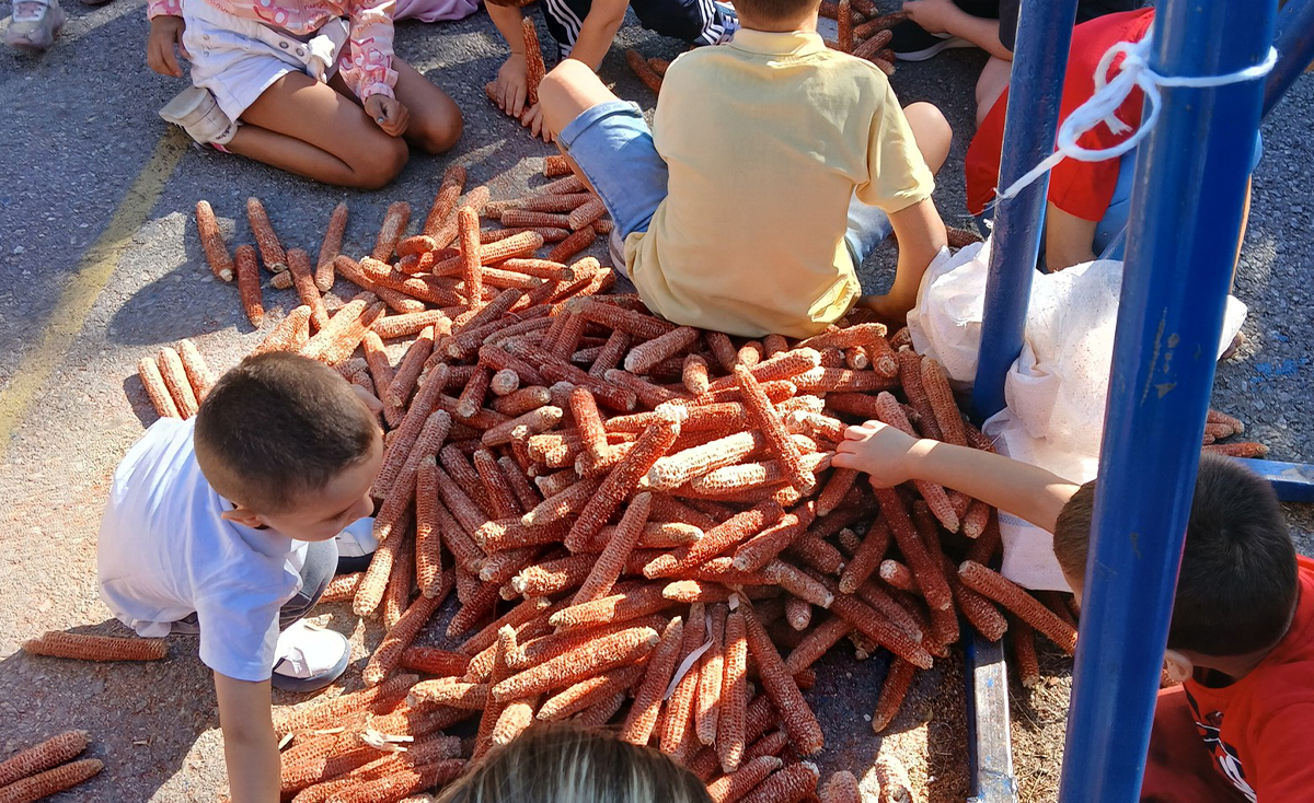 Манифестација „Заборављене игре”